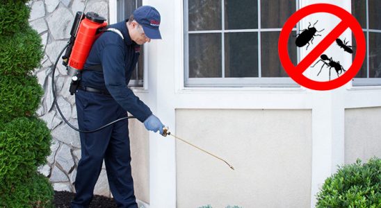 Foça Fare İlaçlama böcek ilaçlama ve haşere kontrolü — ilaclama-tr.com